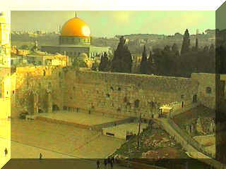 thewallimg6.jpg (17683 bytes)